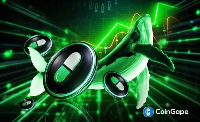  Pump Coin Price Soars as New Whale Accumulates $23.5M Amid Market Dip